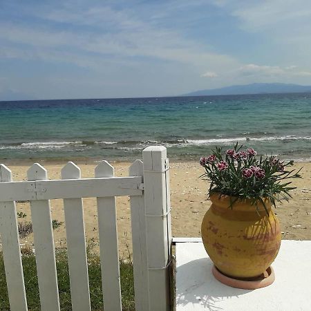 House Kokkalas On The Beach Pyrgadikia Luaran gambar