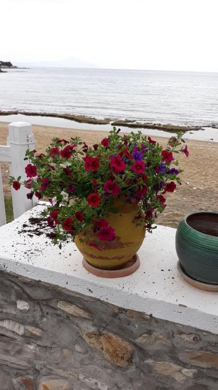 House Kokkalas On The Beach Pyrgadikia Luaran gambar