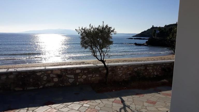 House Kokkalas On The Beach Pyrgadikia Luaran gambar