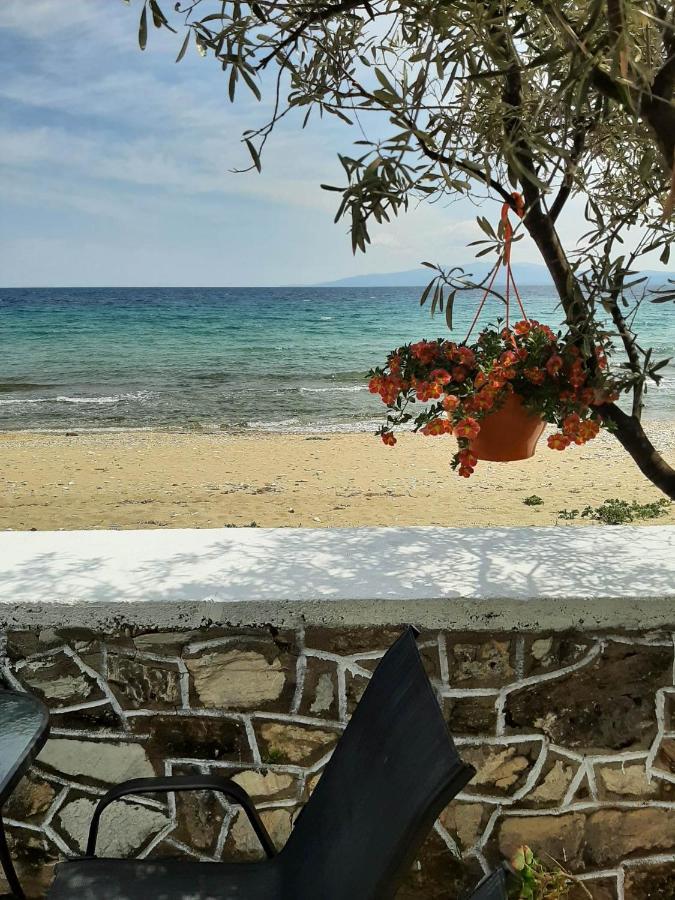 House Kokkalas On The Beach Pyrgadikia Luaran gambar