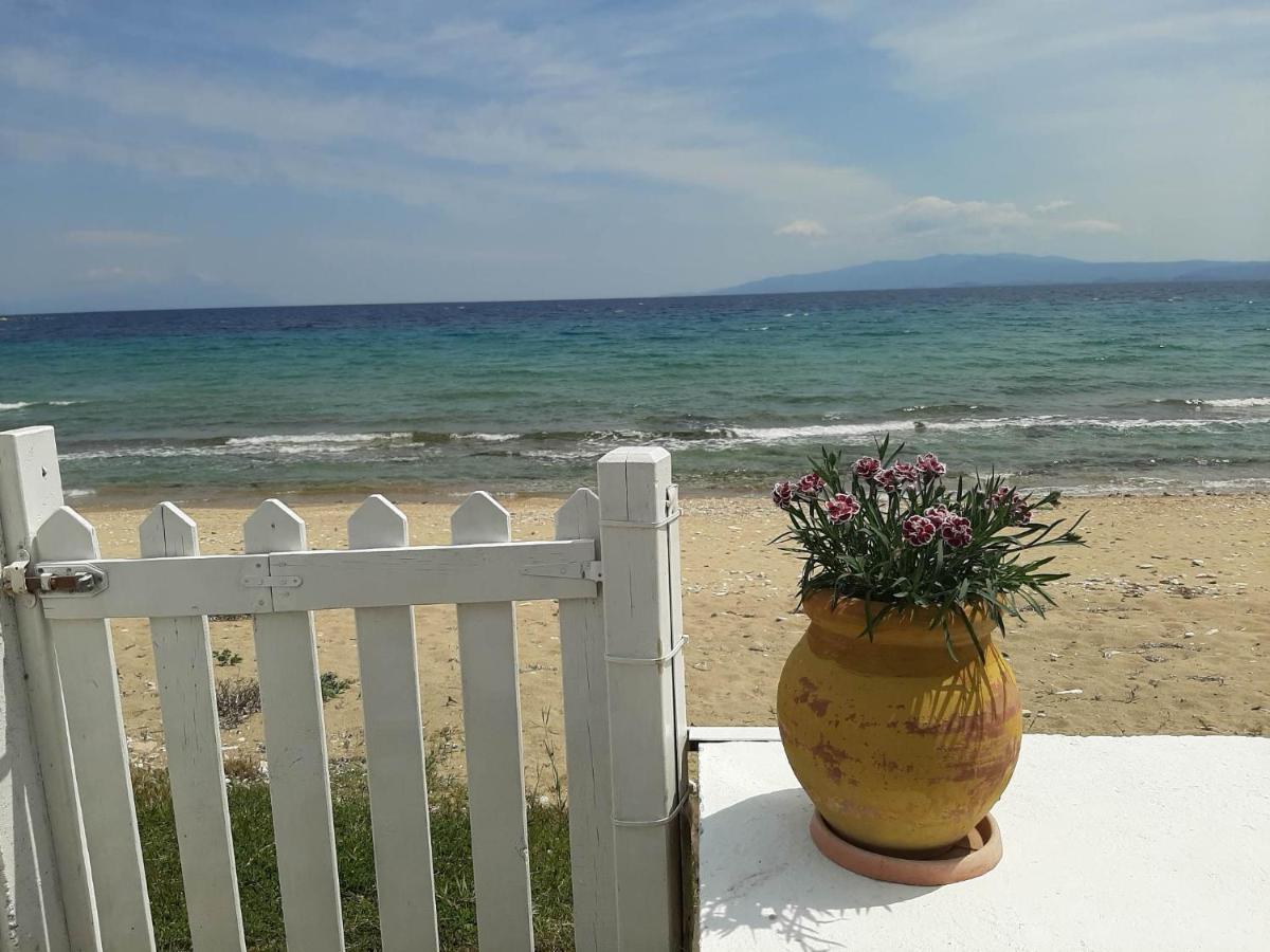 House Kokkalas On The Beach Pyrgadikia Luaran gambar
